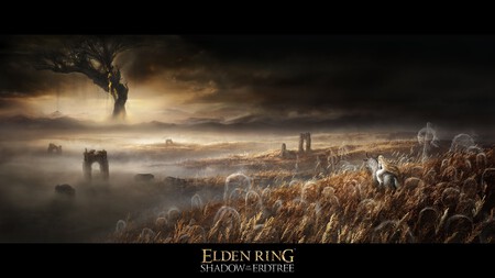 Elden Ring Expansion